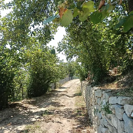 Il Capitano San Piero Patti