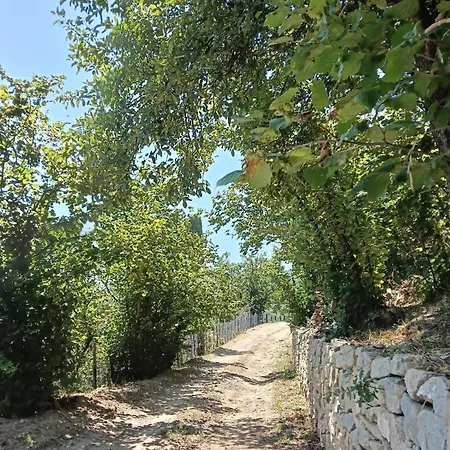 Il Capitano * San Piero Patti