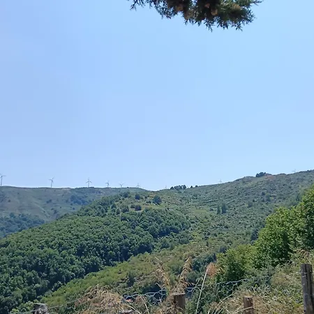 Il Capitano بيت خشبي *