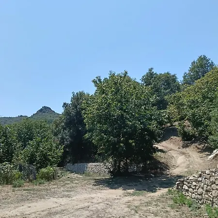 Il Capitano بيت خشبي *